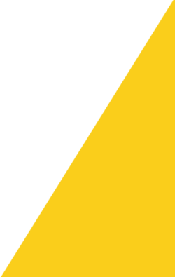 yellow-corner